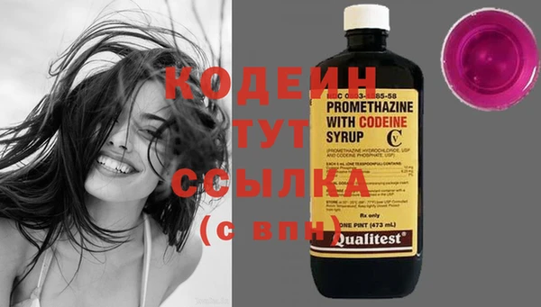 метадон Богданович