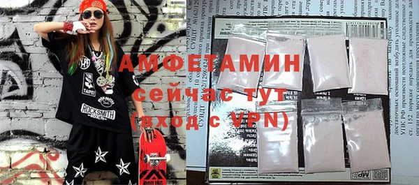 метадон Богданович