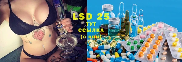 mdpv Богородицк