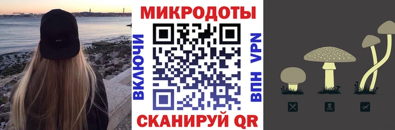 Галлюциногенные грибы MAGIC MUSHROOMS  Купить закладки  Воркута 